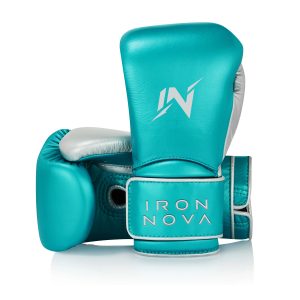 Sparring Gloves